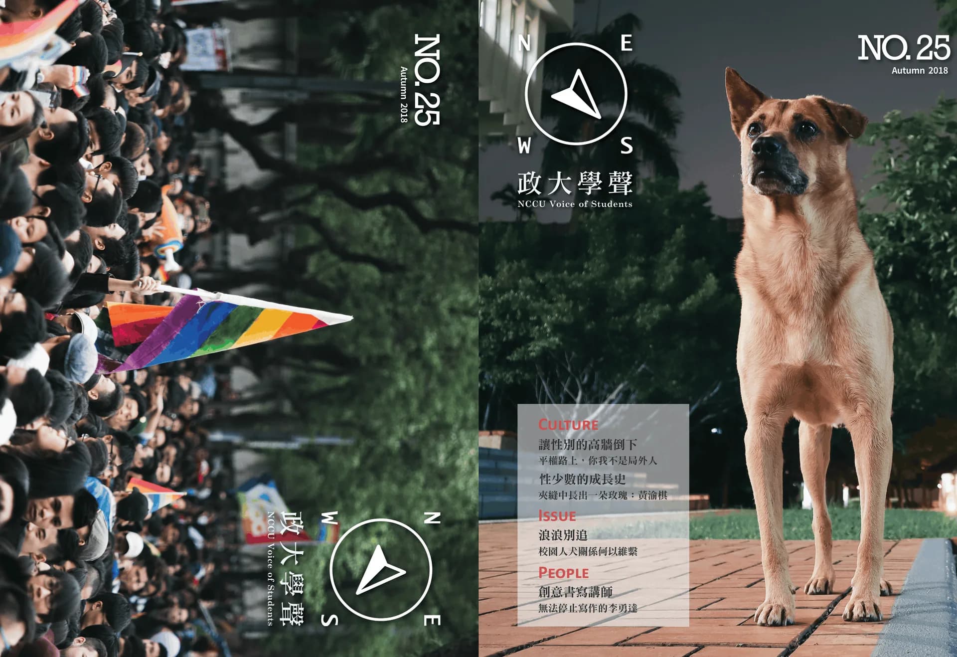 多方視角整合：失能的浪犬管理 專案封面